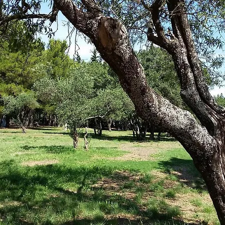 Jurjevac Ferienpark Stari Grad (Hvar)