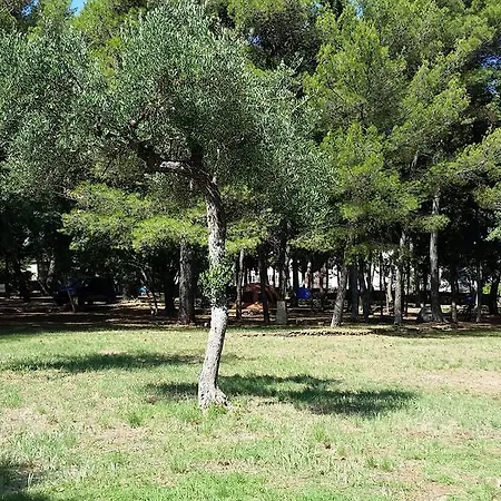 Jurjevac Village de vacances